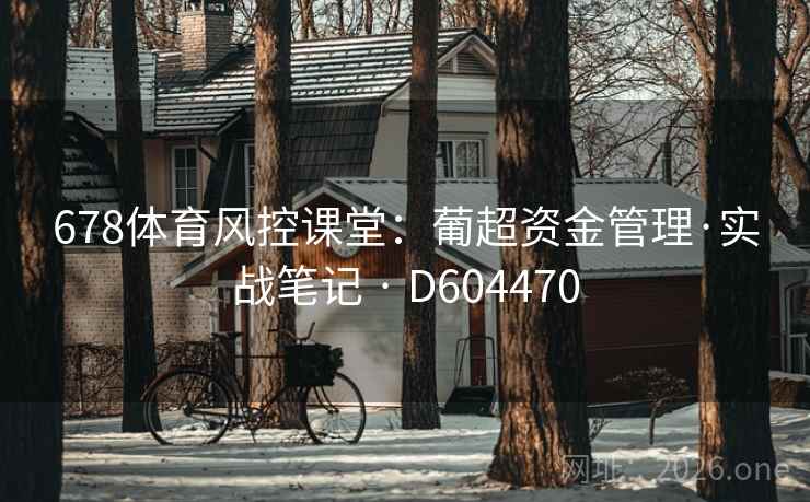 678体育风控课堂：葡超资金管理·实战笔记 · D604470