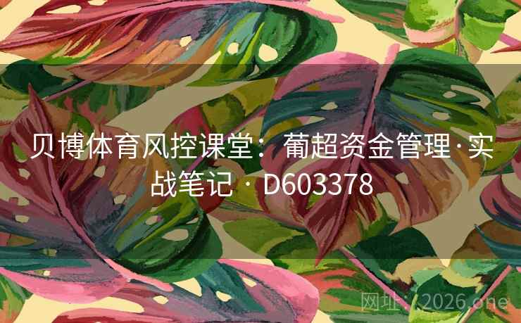 贝博体育风控课堂：葡超资金管理·实战笔记 · D603378