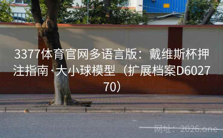 3377体育官网多语言版：戴维斯杯押注指南·大小球模型（扩展档案D602770）  第2张