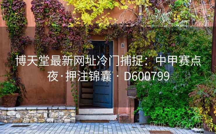 博天堂最新网址冷门捕捉：中甲赛点夜·押注锦囊 · D600799