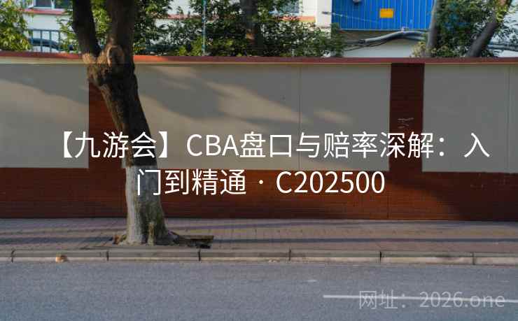 【九游会】CBA盘口与赔率深解:入门到精通 · C202500 第2张 【九游会】CBA盘口与赔率深解:入门到精通 · C202500 第2张