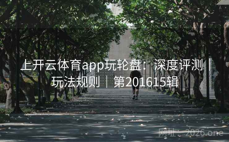 上开云体育app玩轮盘：深度评测｜玩法规则｜第201615辑