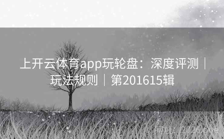 上开云体育app玩轮盘:深度评测|玩法规则|第201615辑 第2张 上开云体育app玩轮盘:深度评测|玩法规则|第201615辑 第2张