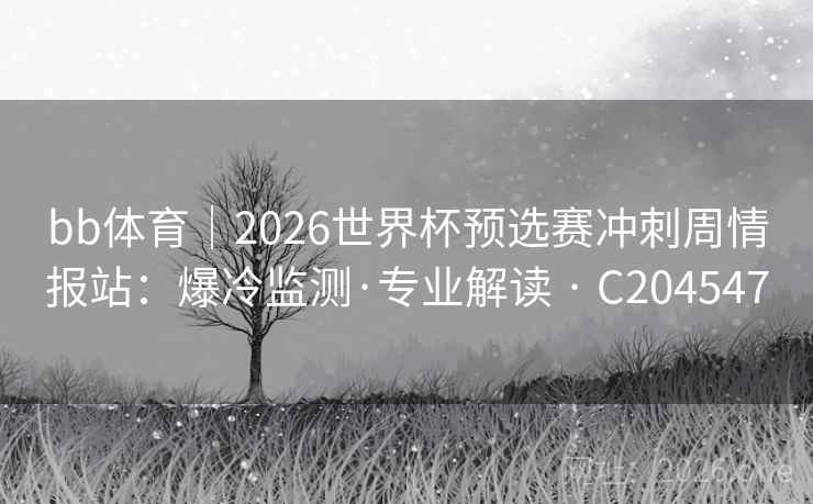 bb体育｜2026世界杯预选赛冲刺周情报站：爆冷监测·专业解读 · C204547  第2张